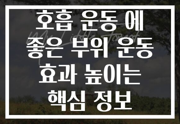 호흡 운동 에 좋은 부위 운동 효과 높이는 핵심 정보