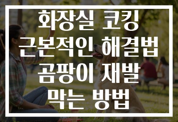 화장실 코킹 근본적인 해결법 곰팡이 재발 막는 방법