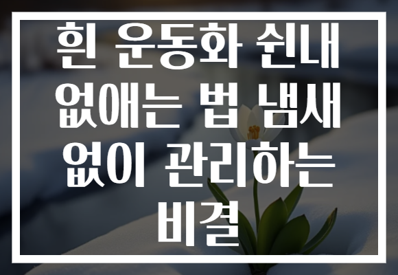 흰 운동화 쉰내 없애는 법 냄새 없이 관리하는 비결