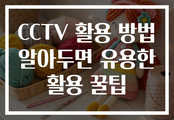 CCTV 활용 방법 알아두면 유용한 활용 꿀팁