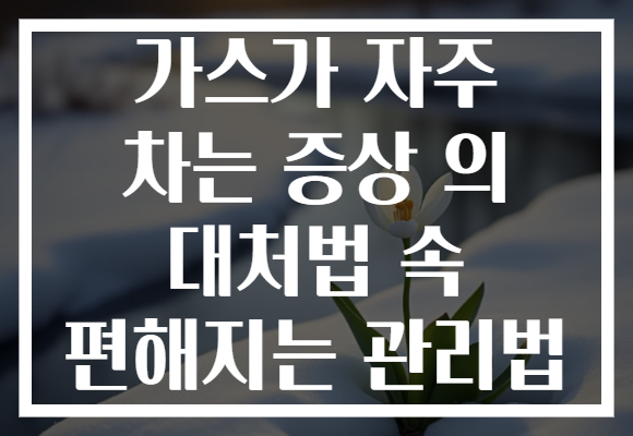 가스가 자주 차는 증상 의 대처법 속 편해지는 관리법