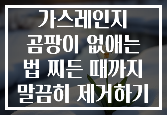 가스레인지 곰팡이 없애는 법 찌든 때까지 말끔히 제거하기