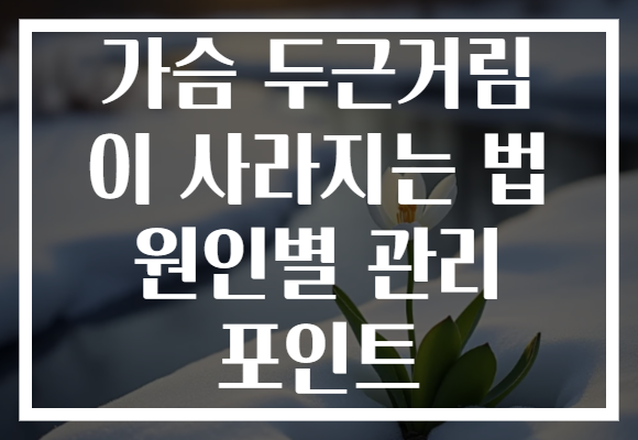 가슴 두근거림 이 사라지는 법 원인별 관리 포인트