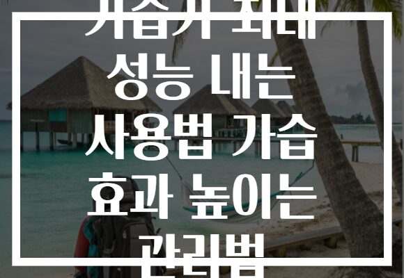 가습기 최대 성능 내는 사용법 가습 효과 높이는 관리법