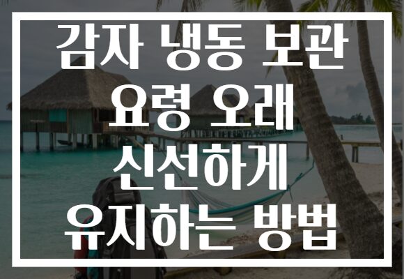 감자 냉동 보관 요령 오래 신선하게 유지하는 방법