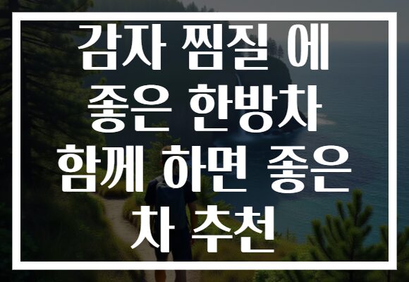 감자 찜질 에 좋은 한방차 함께 하면 좋은 차 추천