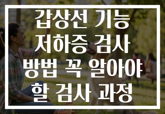 갑상선 기능 저하증 검사 방법 꼭 알아야 할 검사 과정