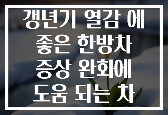 갱년기 열감 에 좋은 한방차 증상 완화에 도움 되는 차