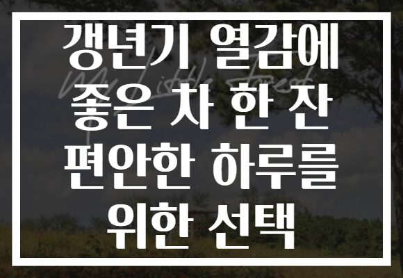 갱년기 열감에 좋은 차 한 잔 편안한 하루를 위한 선택