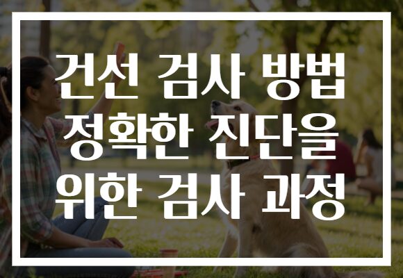 건선 검사 방법 정확한 진단을 위한 검사 과정
