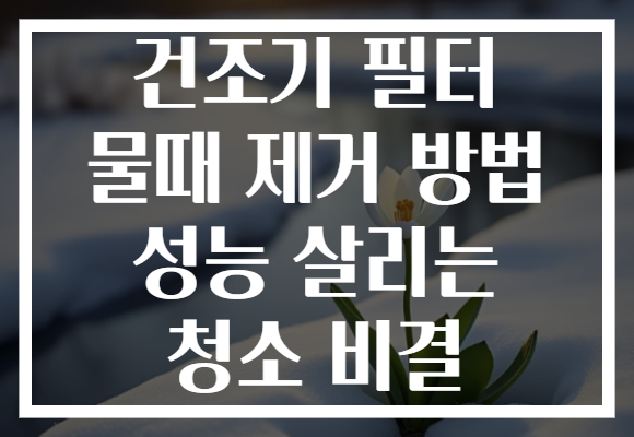 건조기 필터 물때 제거 방법 성능 살리는 청소 비결