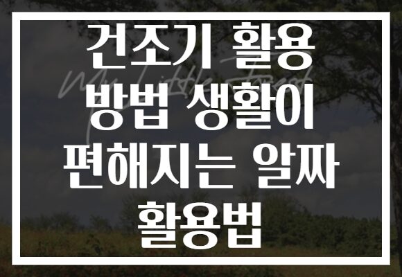 건조기 활용 방법 생활이 편해지는 알짜 활용법