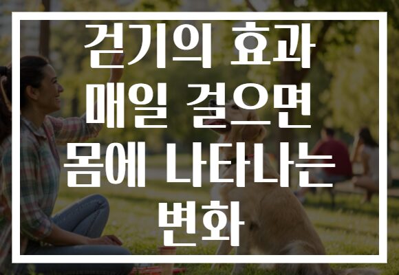 걷기의 효과 매일 걸으면 몸에 나타나는 변화