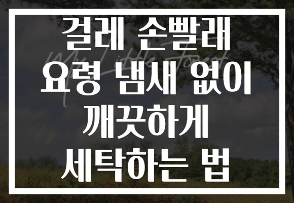 걸레 손빨래 요령 냄새 없이 깨끗하게 세탁하는 법