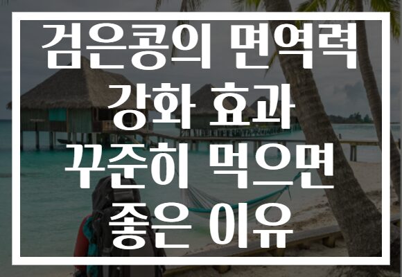 검은콩의 면역력 강화 효과 꾸준히 먹으면 좋은 이유
