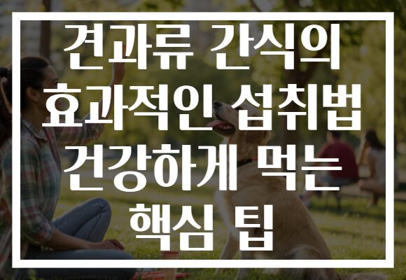 견과류 간식의 효과적인 섭취법 건강하게 먹는 핵심 팁
