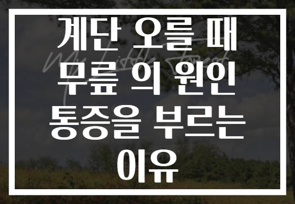 계단 오를 때 무릎 의 원인 통증을 부르는 이유