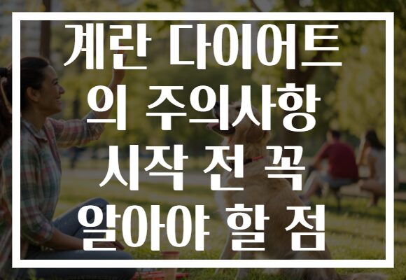 계란 다이어트 의 주의사항 시작 전 꼭 알아야 할 점