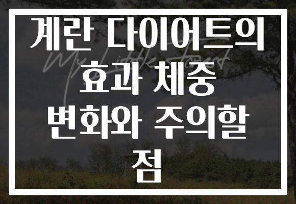 계란 다이어트의 효과 체중 변화와 주의할 점