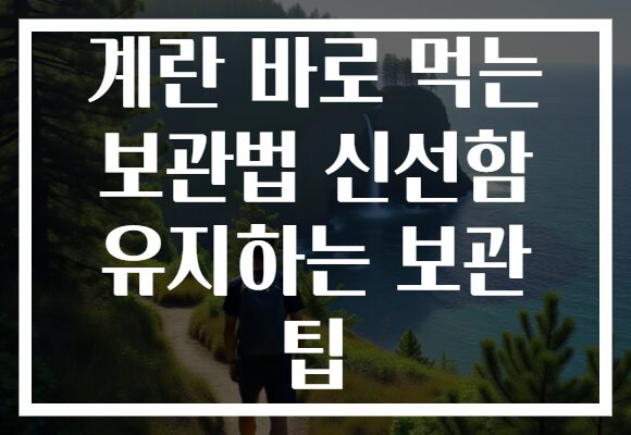 계란 바로 먹는 보관법 신선함 유지하는 보관 팁