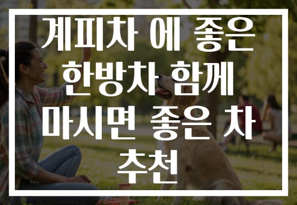 계피차 에 좋은 한방차 함께 마시면 좋은 차 추천