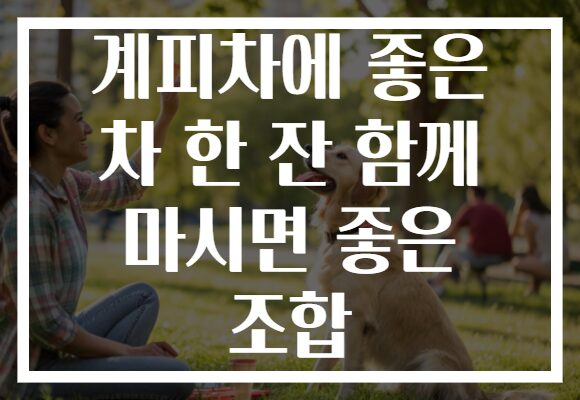 계피차에 좋은 차 한 잔 함께 마시면 좋은 조합