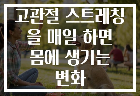 고관절 스트레칭 을 매일 하면 몸에 생기는 변화