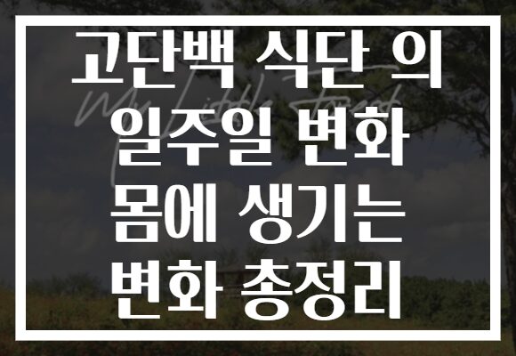 고단백 식단 의 일주일 변화 몸에 생기는 변화 총정리