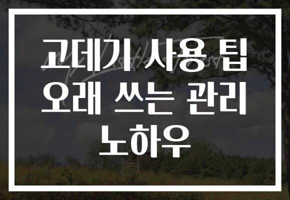 고데기 사용 팁 오래 쓰는 관리 노하우