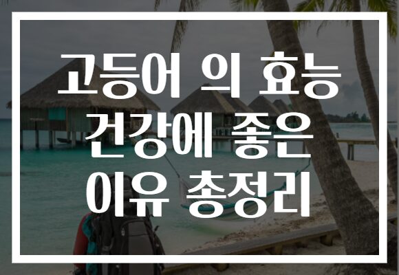 고등어 의 효능 건강에 좋은 이유 총정리