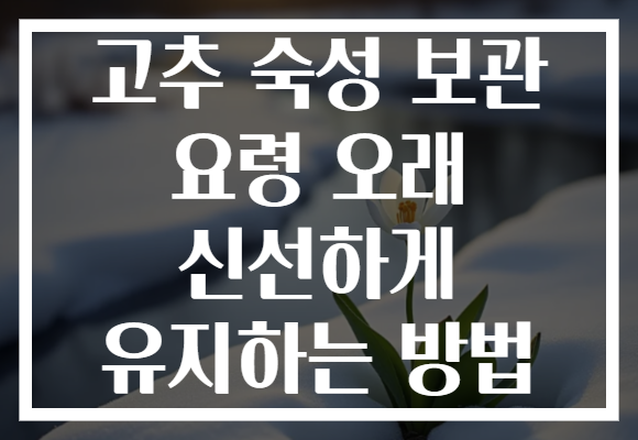 고추 숙성 보관 요령 오래 신선하게 유지하는 방법