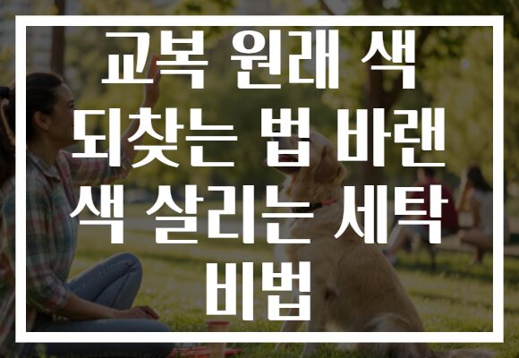 교복 원래 색 되찾는 법 바랜 색 살리는 세탁 비법