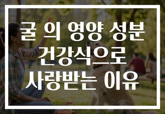 굴 의 영양 성분 건강식으로 사랑받는 이유