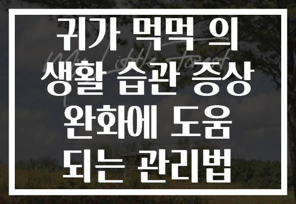 귀가 먹먹 의 생활 습관 증상 완화에 도움 되는 관리법