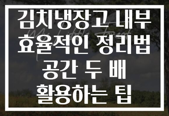 김치냉장고 내부 효율적인 정리법 공간 두 배 활용하는 팁