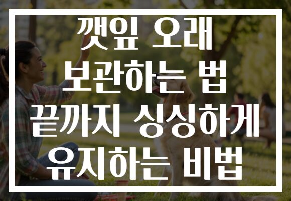 깻잎 오래 보관하는 법 끝까지 싱싱하게 유지하는 비법