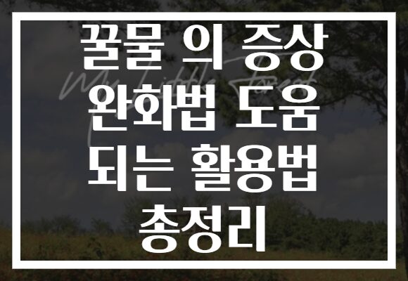 꿀물 의 증상 완화법 도움 되는 활용법 총정리