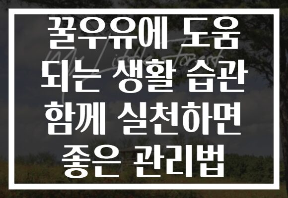 꿀우유에 도움 되는 생활 습관 함께 실천하면 좋은 관리법