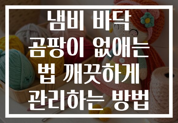 냄비 바닥 곰팡이 없애는 법 깨끗하게 관리하는 방법