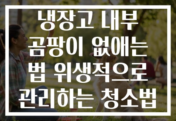 냉장고 내부 곰팡이 없애는 법 위생적으로 관리하는 청소법