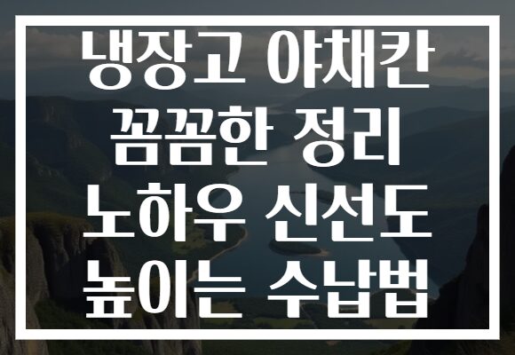 냉장고 야채칸 꼼꼼한 정리 노하우 신선도 높이는 수납법