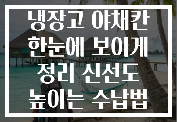냉장고 야채칸 한눈에 보이게 정리 신선도 높이는 수납법