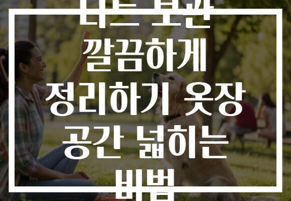 니트 보관 깔끔하게 정리하기 옷장 공간 넓히는 비법