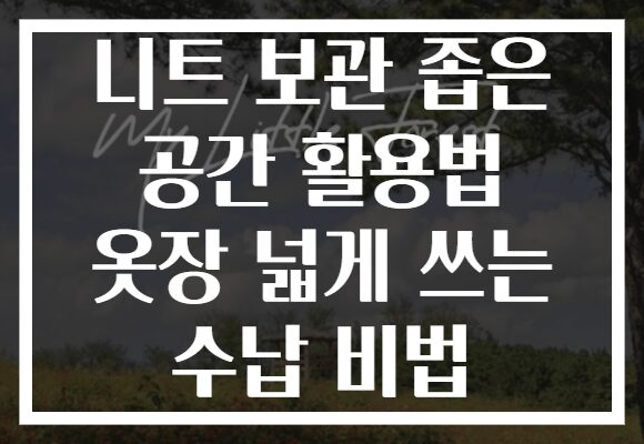 니트 보관 좁은 공간 활용법 옷장 넓게 쓰는 수납 비법