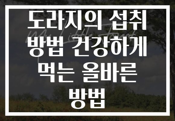 도라지의 섭취 방법 건강하게 먹는 올바른 방법