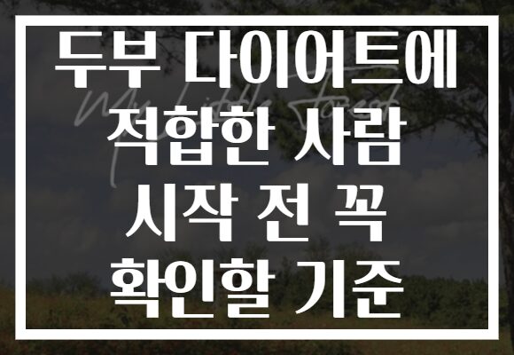 두부 다이어트에 적합한 사람 시작 전 꼭 확인할 기준