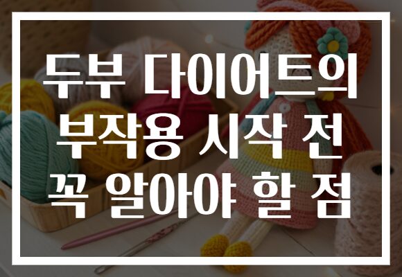 두부 다이어트의 부작용 시작 전 꼭 알아야 할 점