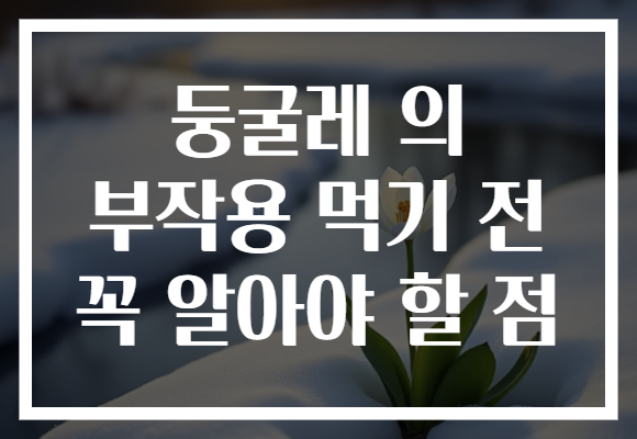 둥굴레 의 부작용 먹기 전 꼭 알아야 할 점