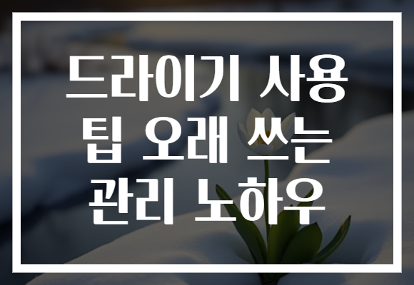 드라이기 사용 팁 오래 쓰는 관리 노하우