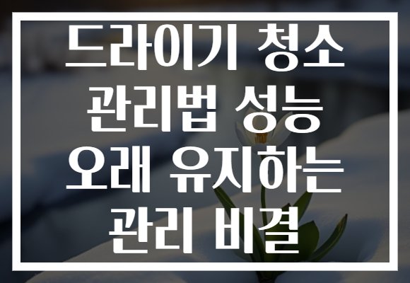 드라이기 청소 관리법 성능 오래 유지하는 관리 비결